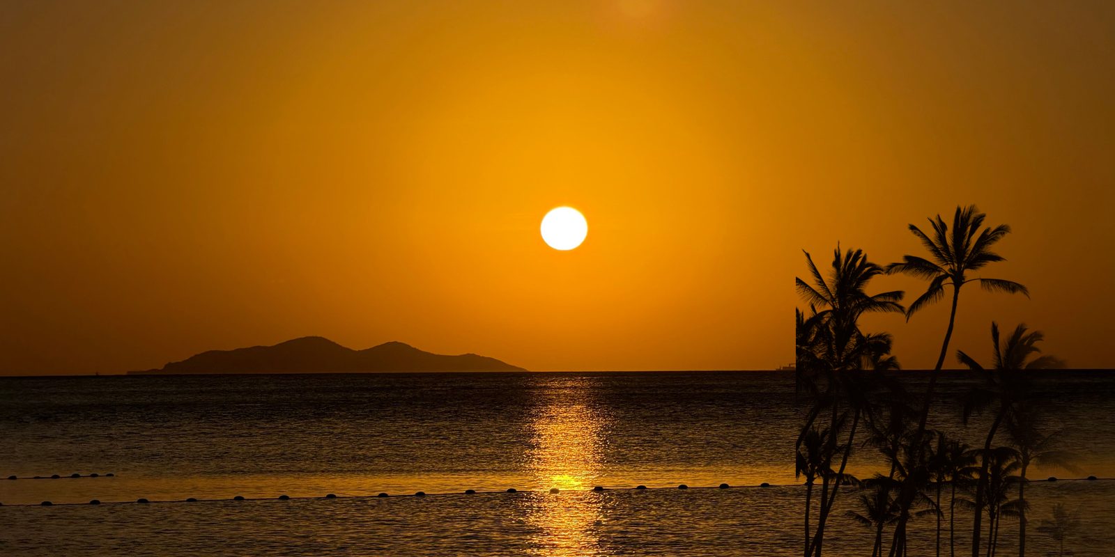 A low sun over open water at sunset with a distant island on the horizon and palms in silhouette at the right