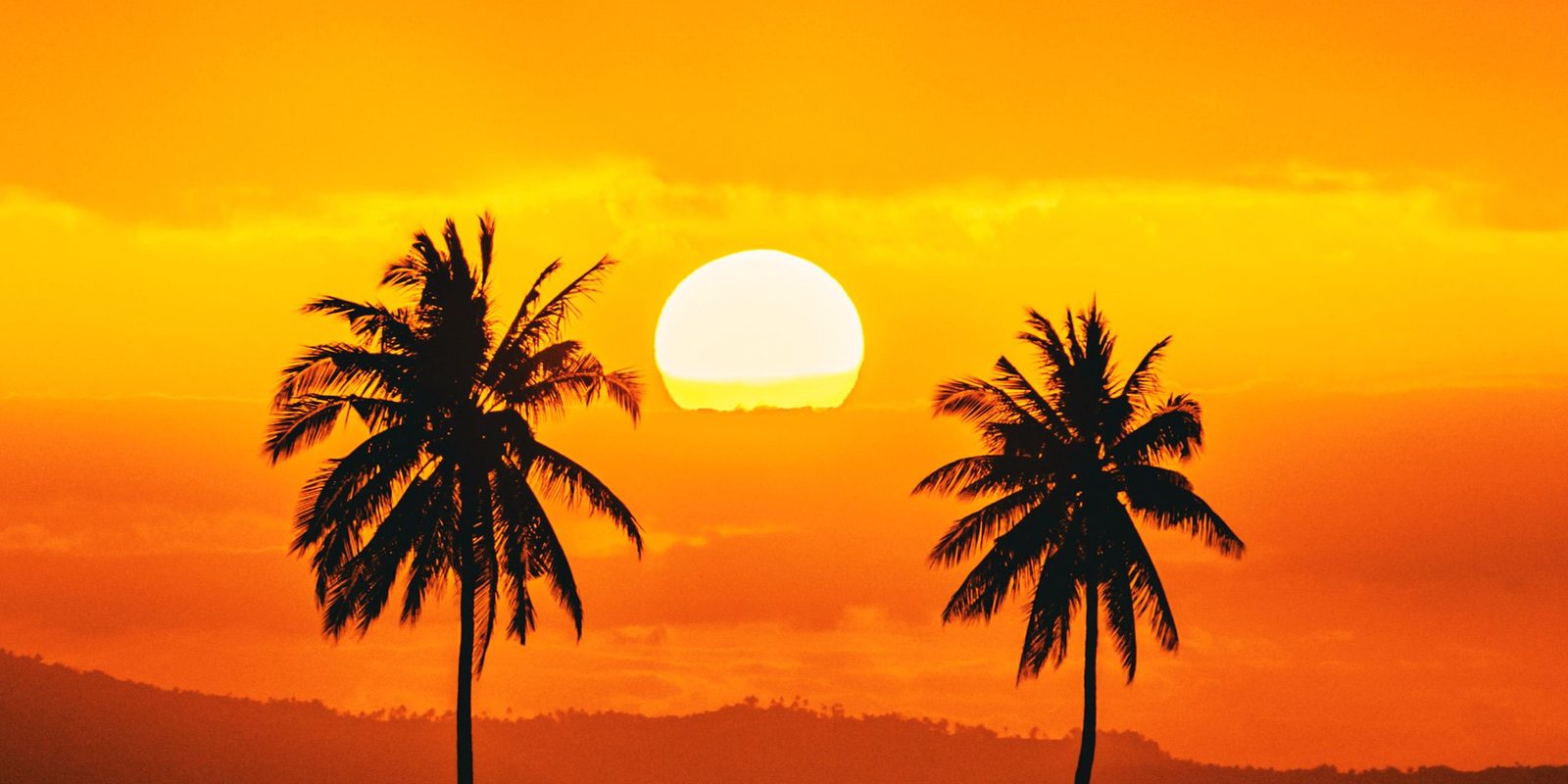 Two coconut palms in silhouette flanking a setting sun over hills and open water